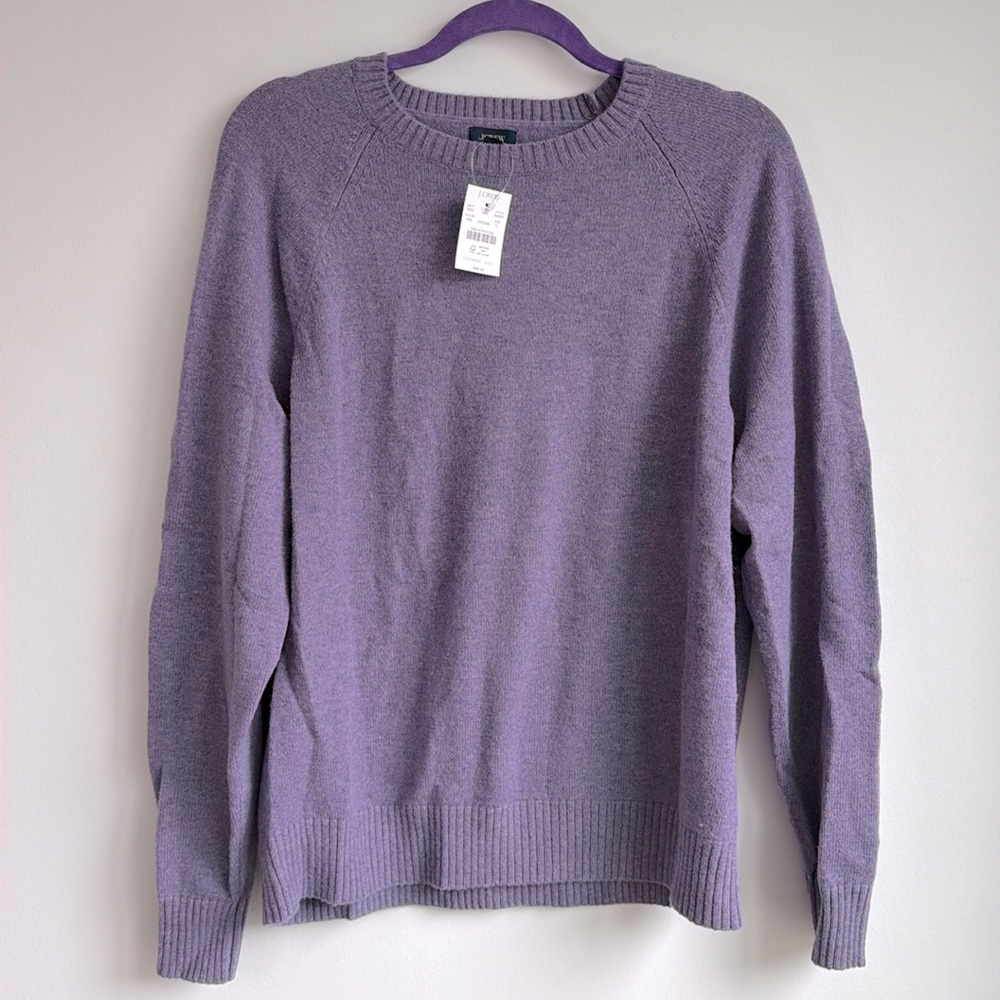 J Crew Men's Purple Sweater